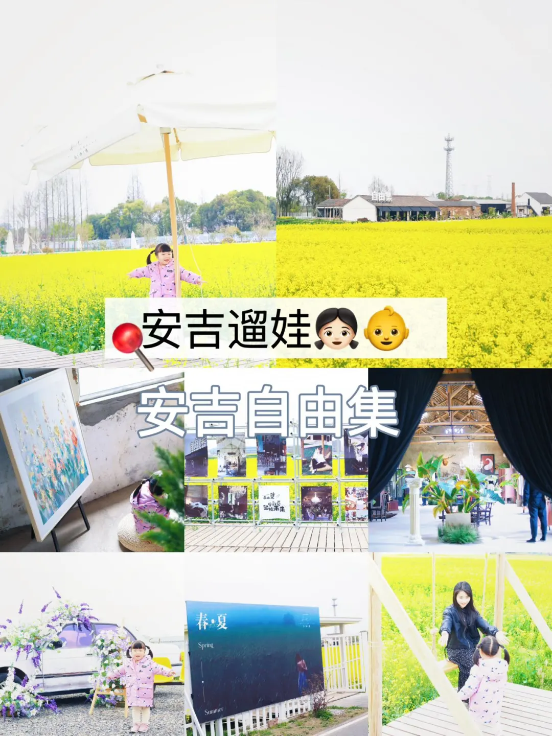 安吉遛娃|去自由集 看灿烂的油菜花