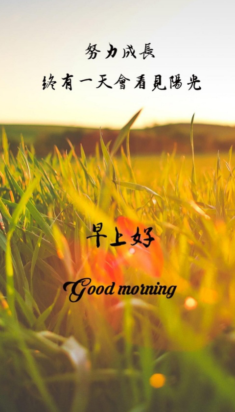 ✨周三早上好朋友们！新的一周又过半，行情又要拉开序幕。做交易先调整好自己心态，不要一开盘就急于进场。理性看待每一轮涨跌，祝大家今天都能收获自己想要的结果！金价黄金油价暴跌黄金飙涨 ​​​