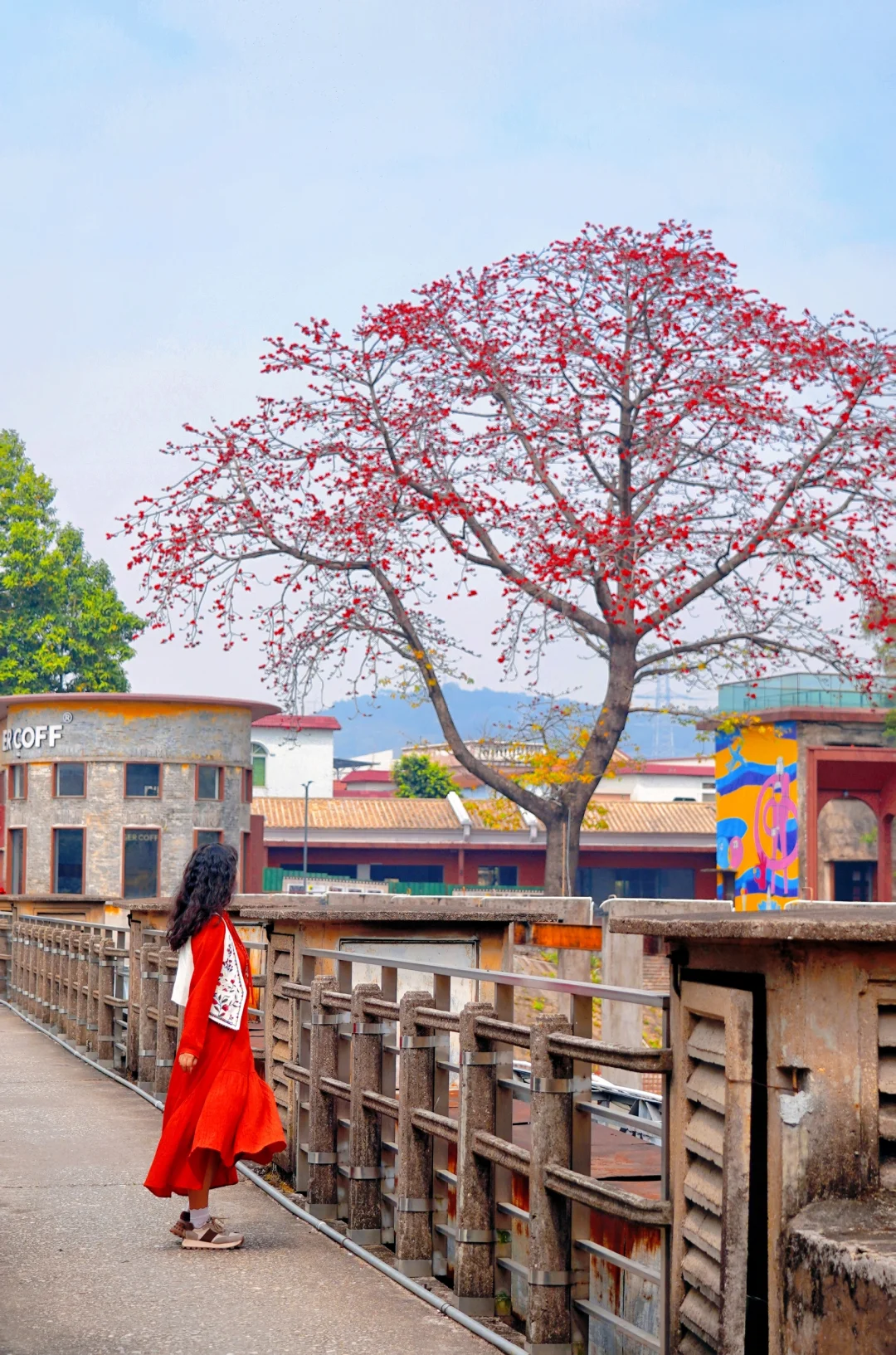 顺德左滩citywalk！木棉花开的小众游玩地
