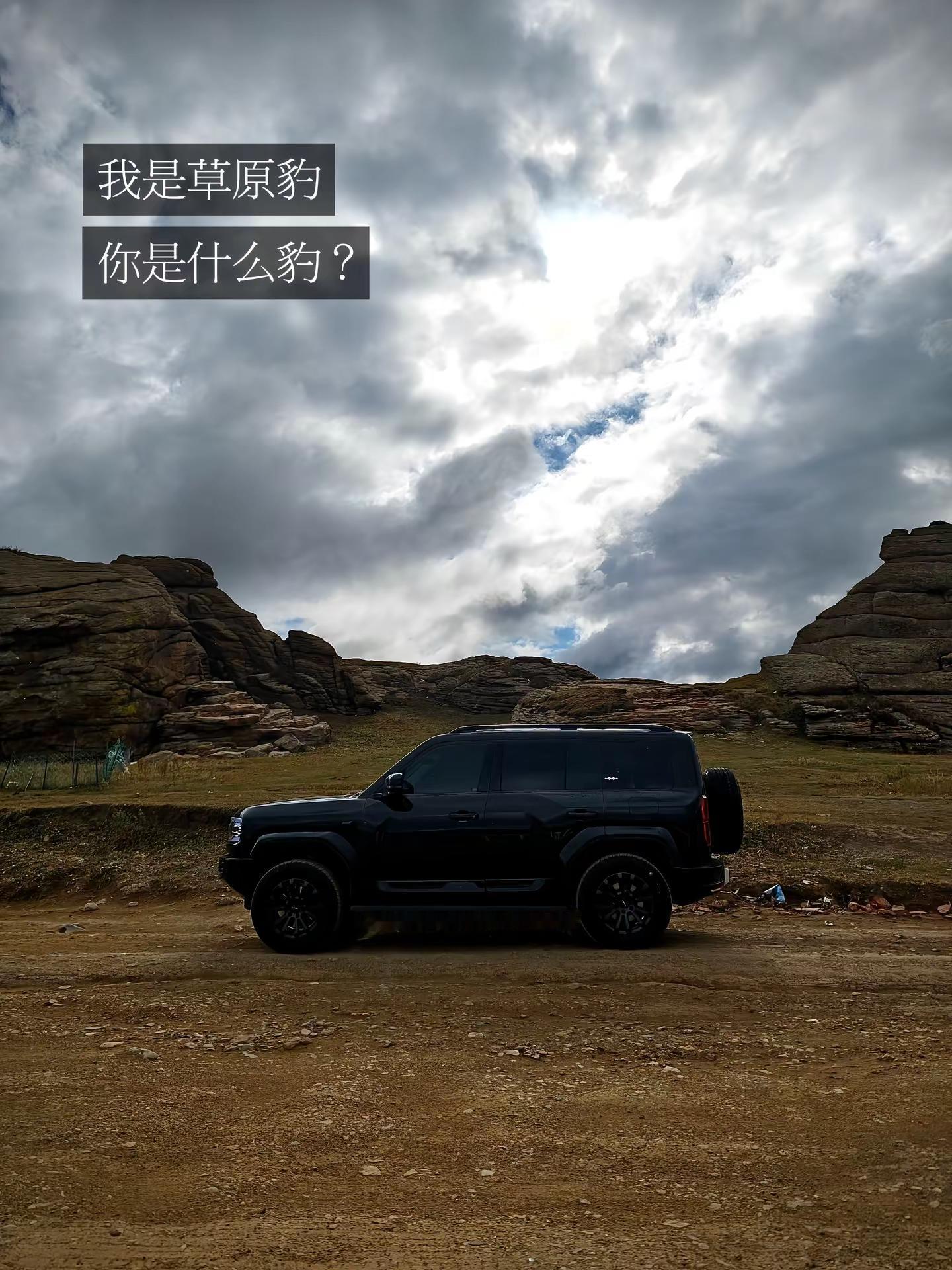 跟上节奏，上图！年轻人的第一台车 方程豹 感觉至上