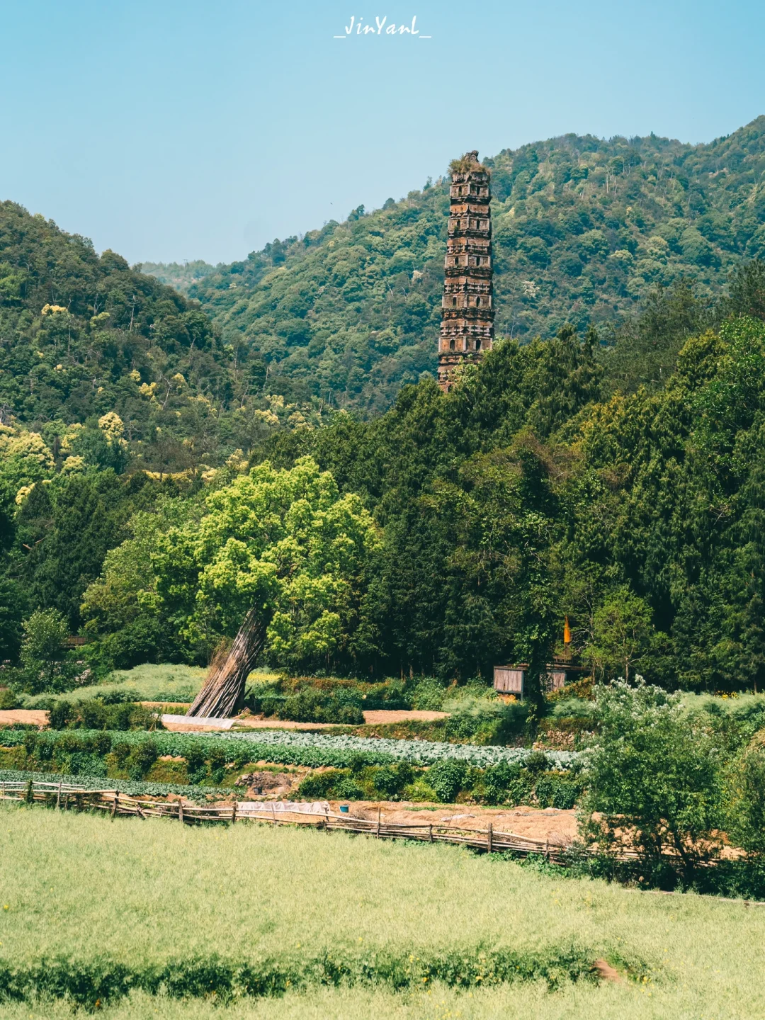 江浙沪周边游｜小众低调美了千年的国清寺🌳