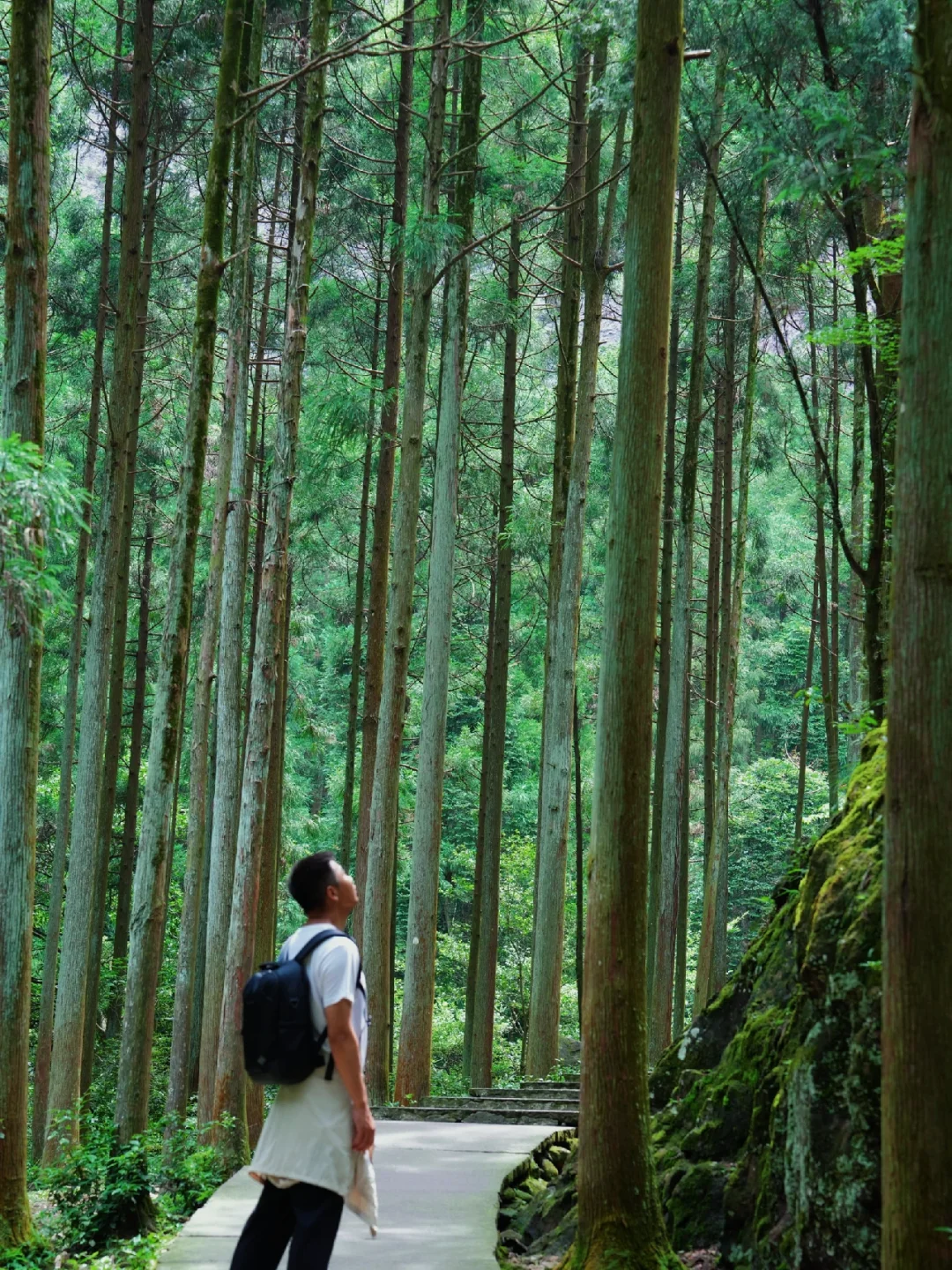 乐清｜雁荡山大龙湫容易被人忽略的徒步路线