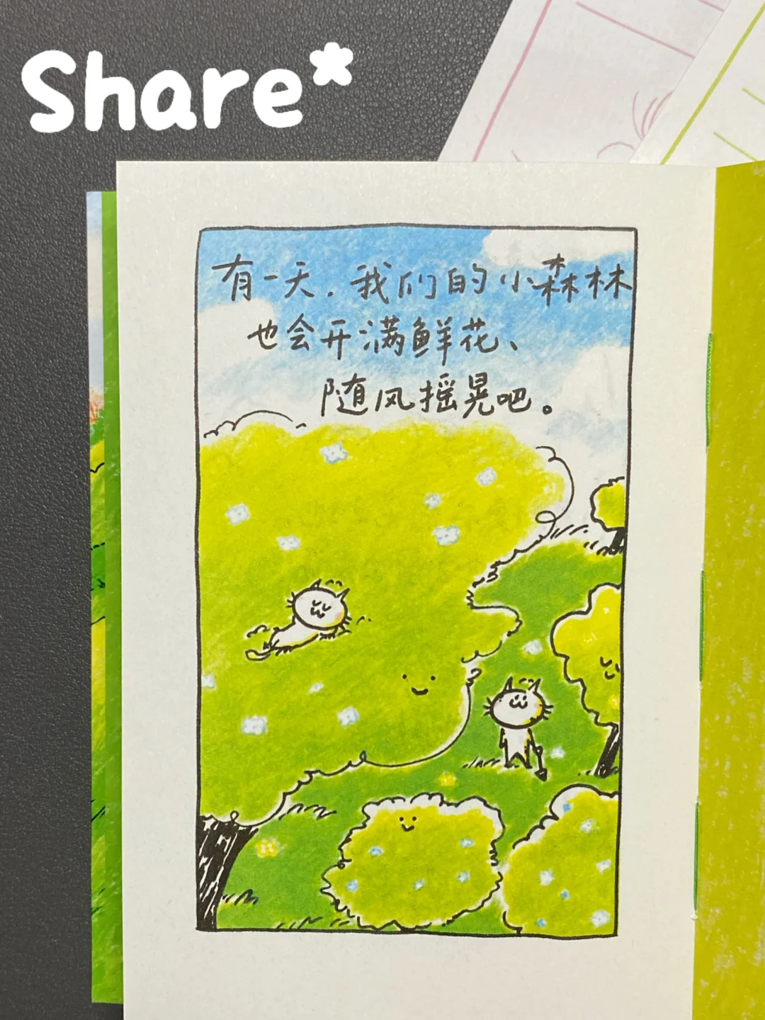 Share🎧我感恩🍃珍惜放晴的每一个瞬间🖼️