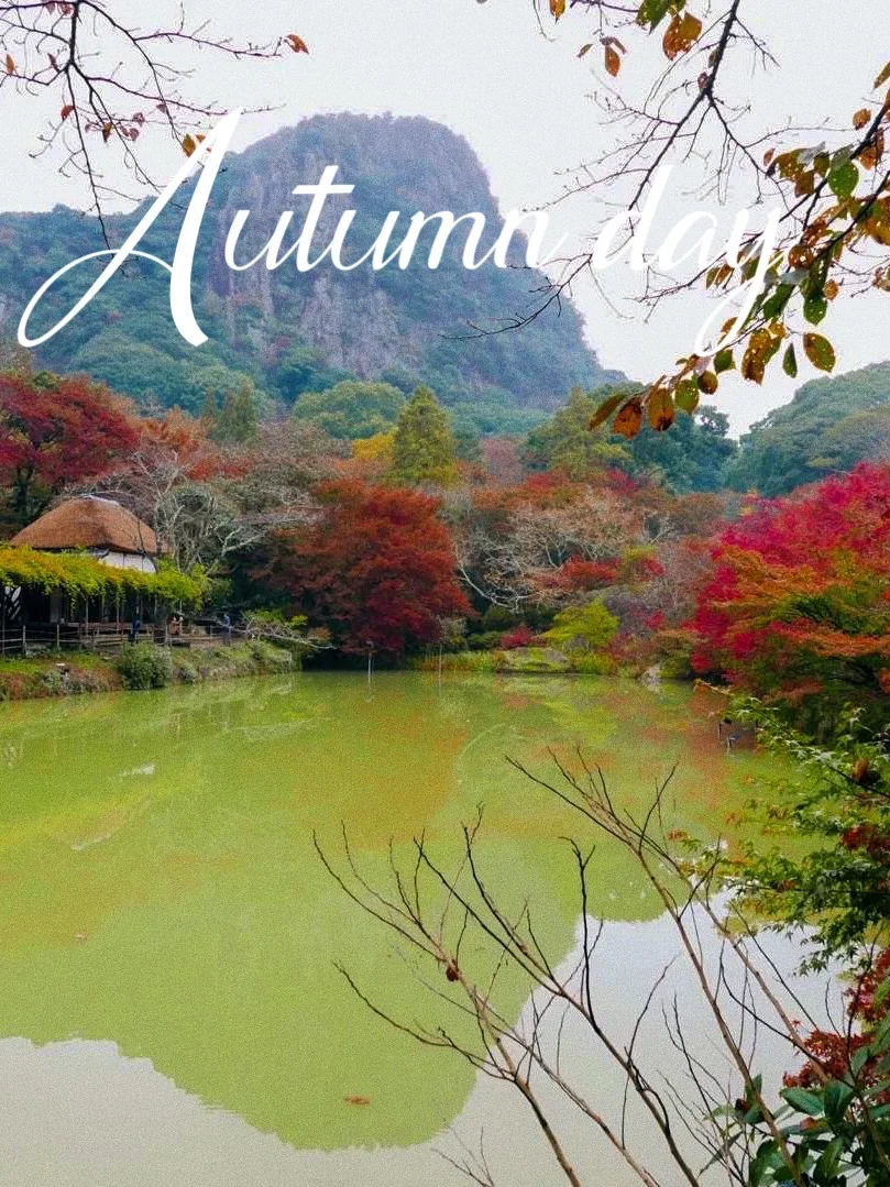 佐贺红叶🍁御船山乐园