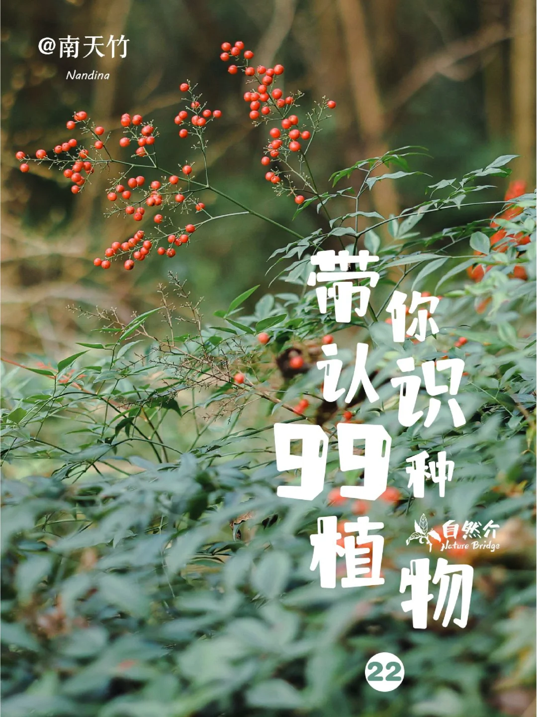 带孩子认识99种植物
