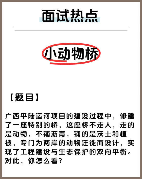 面试热点：小动物桥