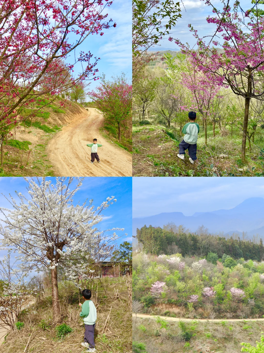 春日徒步，只为花忙，成都1h上春山轻徒步