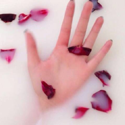 TheSanfter