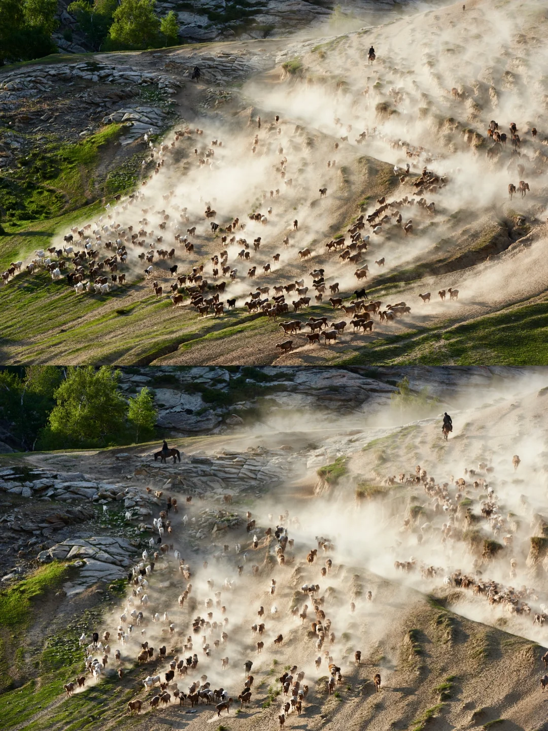 在萨尔布拉克大转场，遇见我的阿勒泰