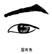 眉毛有角者除了鼻子可以反映财富之外，面上还有其他部位是看财运的，但这些部位必须要几处一起结合来观察，才会产生效用，比如说眉、眼和耳朵这三个部位都生得好，便能够拥有很强的“聚财”作用了。耳朵乃财之源，是一个人的根基所在。而眉眼则反映人的内在智慧和学识，眉毛有角者，必能在三十至四十岁间创造出骄人的财富。因此，对男人来说，眉毛有角者可为正妻