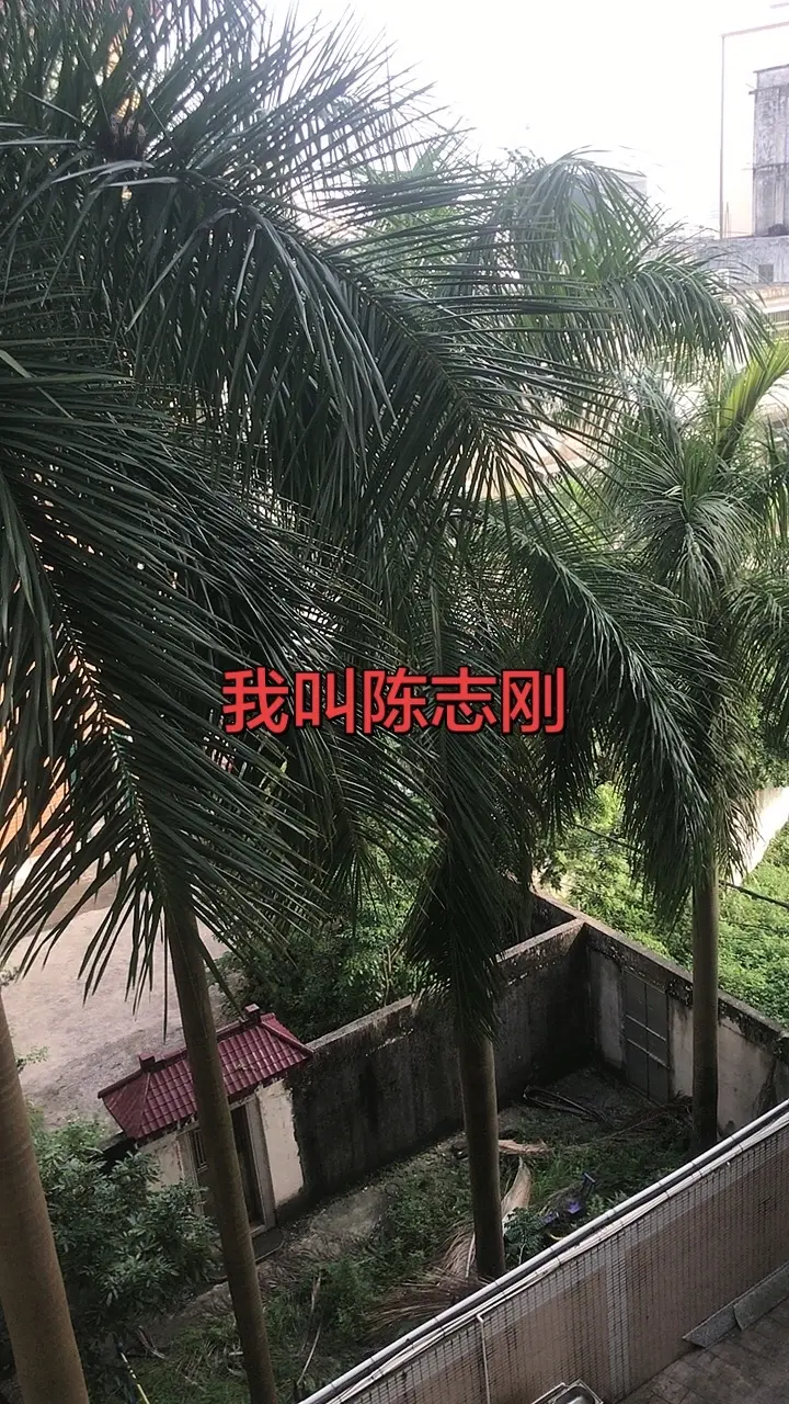 一分惜败！马刺年轻人错失绝对，主场再输尼克斯队，系列赛局势的倾斜！