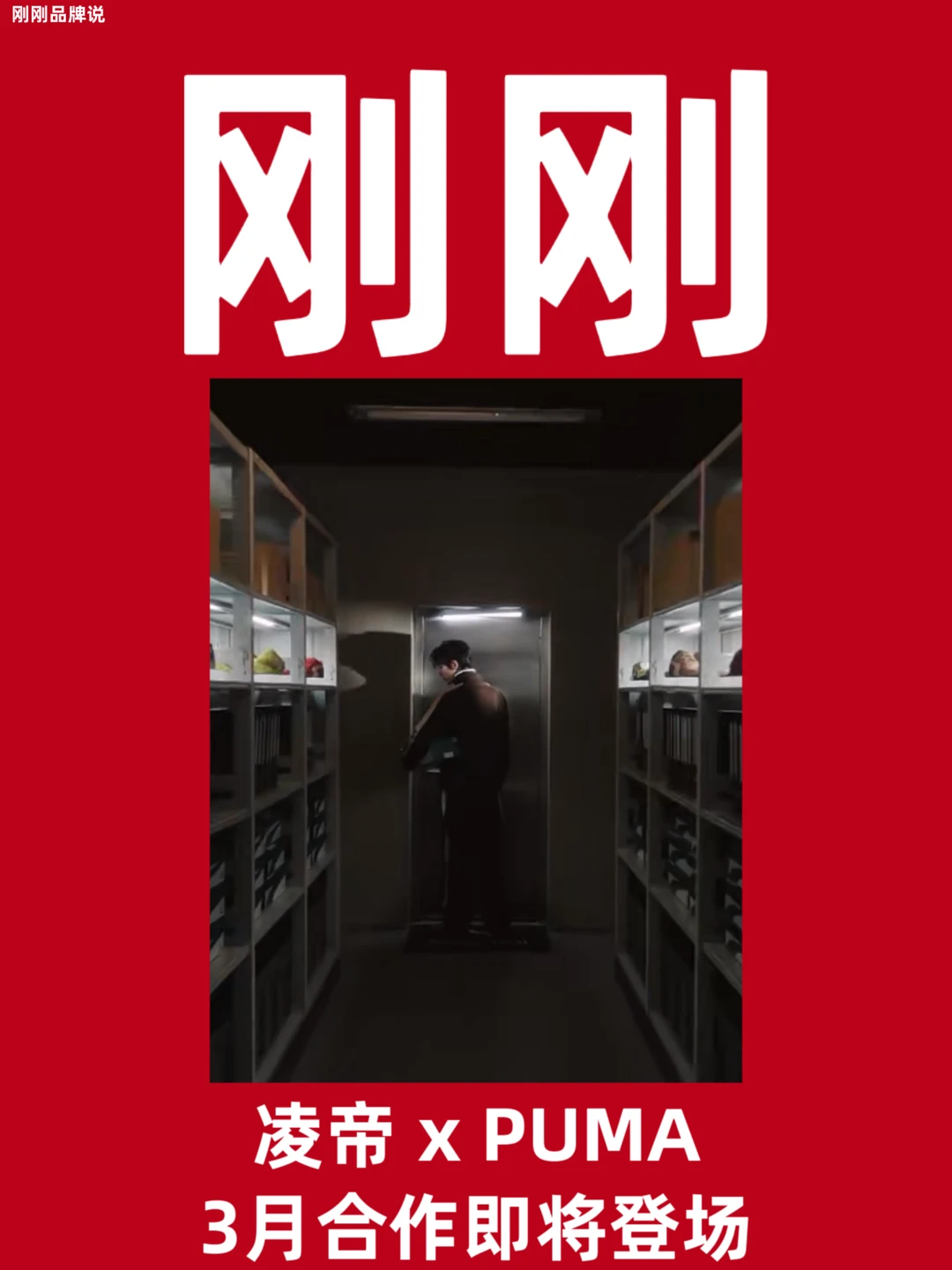 凌帝xPUMA，期待三月合作！