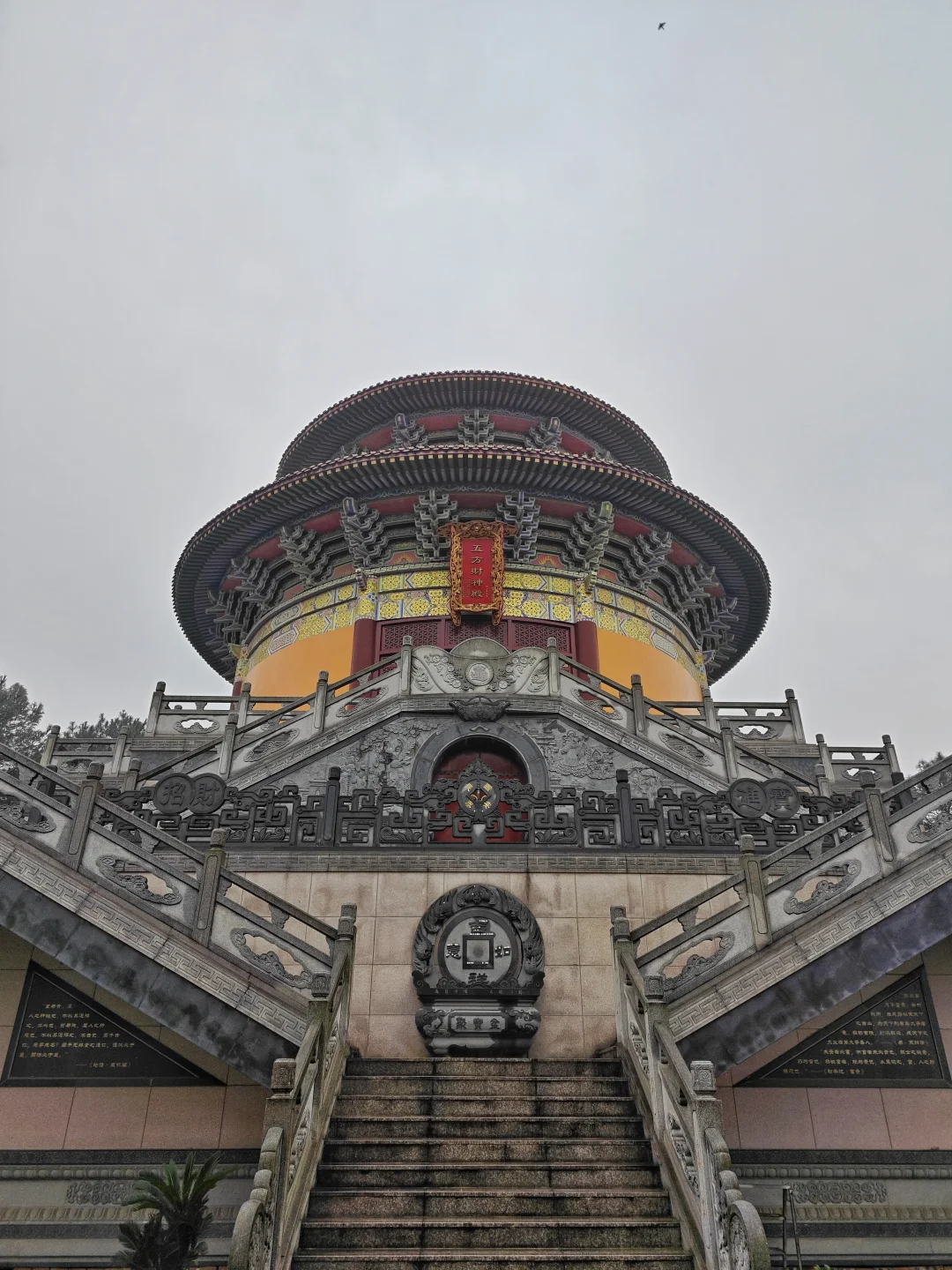 铁山坪森林公园(citywalk390)