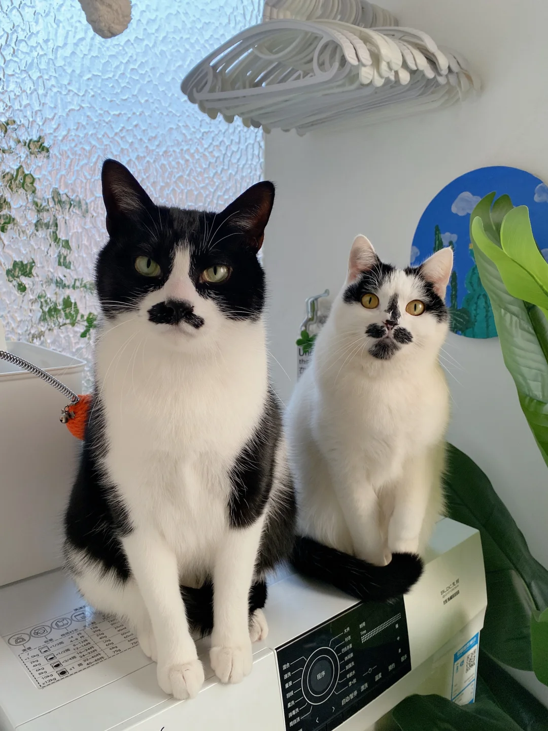 给局部🌼地区最极致的呵护