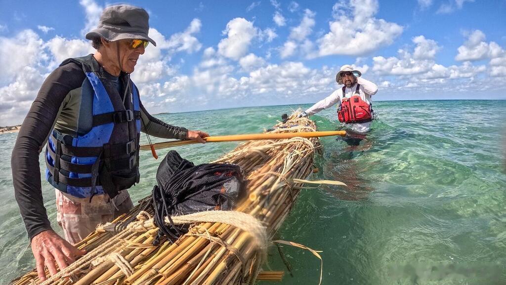 【⛵️8000年前的航海智慧，在以色列海岸重新起航】

海法大学的研究团队完成了一项别开生面的实验考古项目——他们用约1600根芦苇，以新石器时代可得的材料和工艺，复原建造了一艘4米长的芦苇船，并在以色列卡梅尔海岸成功试航。

试航地点别具意义——船只下水处正对着一处距今约8000至10000年的新石 ​