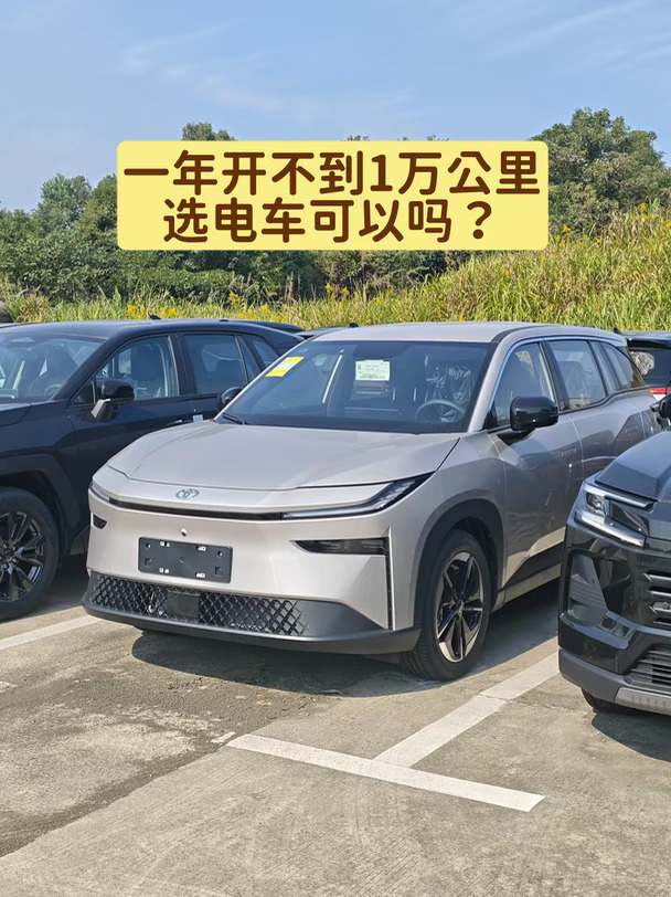 一年开1万公里，选丰田铂智3X还是油车?