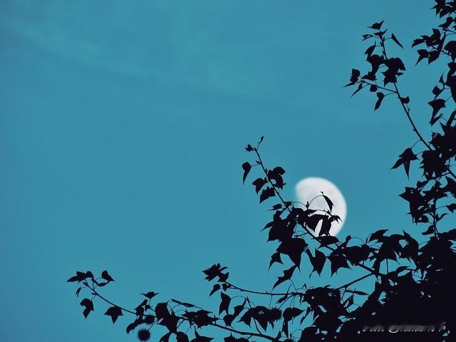 情感爆文：深夜的朋友圈，藏着9.3亿中年人不敢言说的“崩溃”