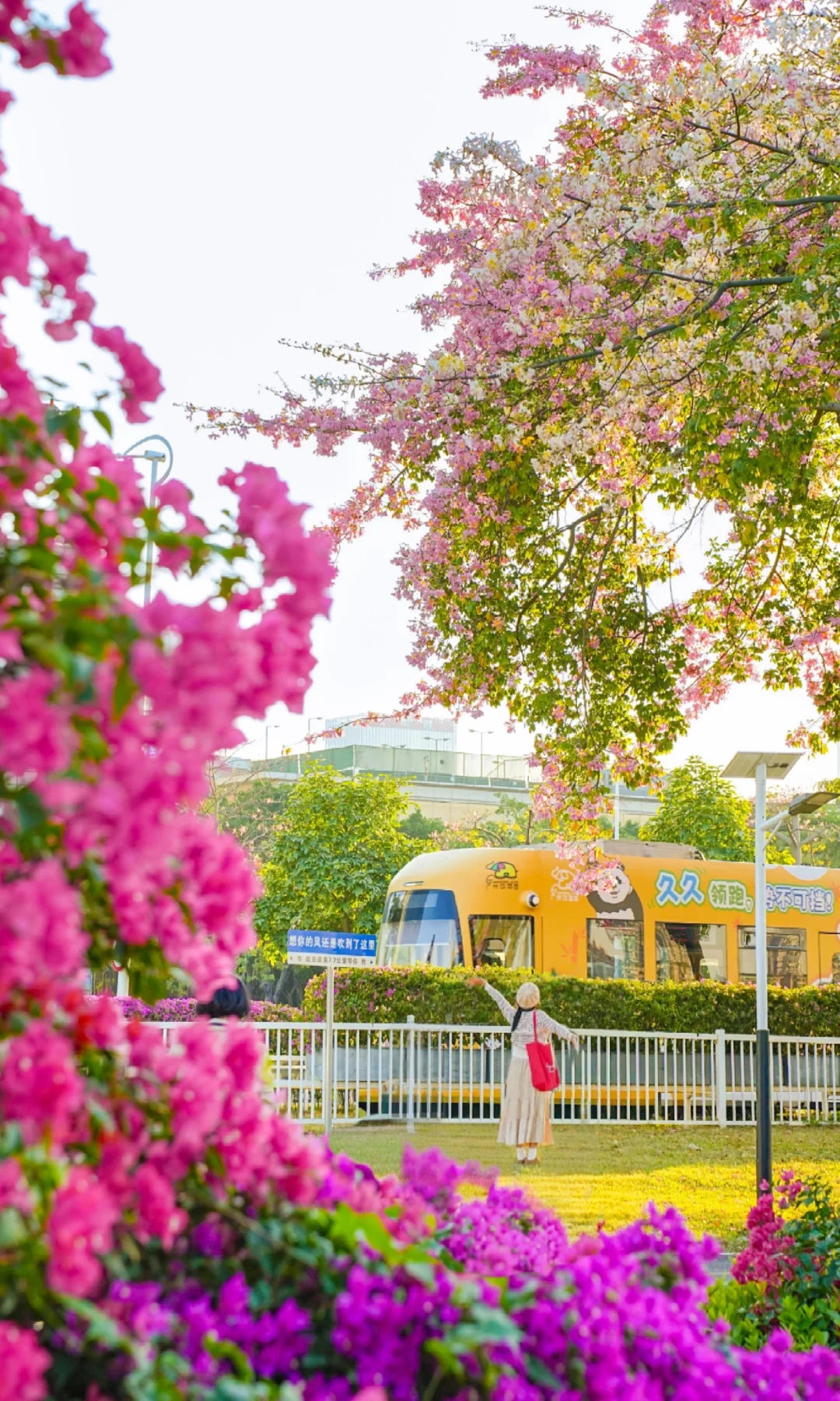 11.25实拍📷秋日限定列车不要挤琶洲大桥