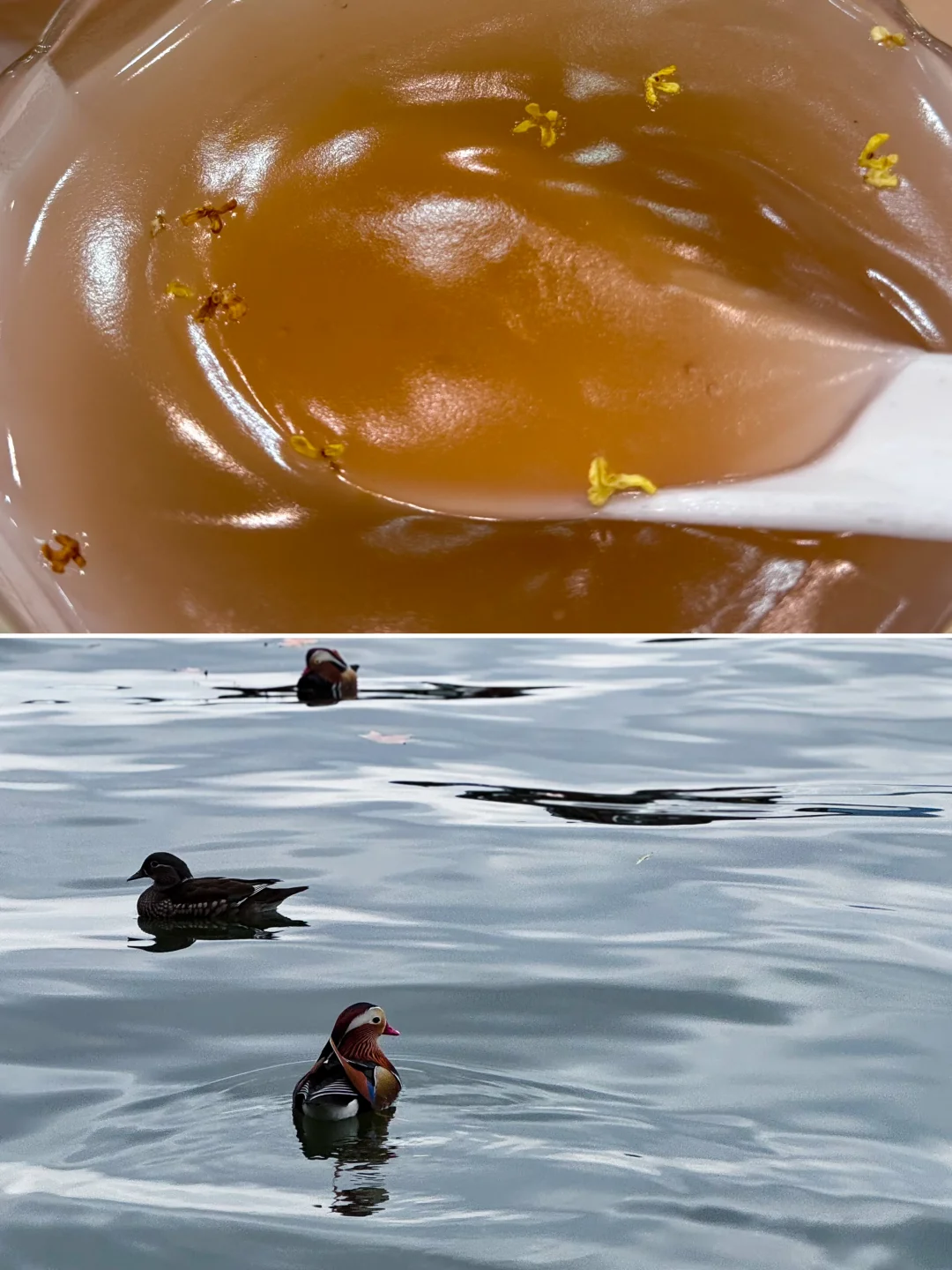 我就说西湖的水是有点眼熟