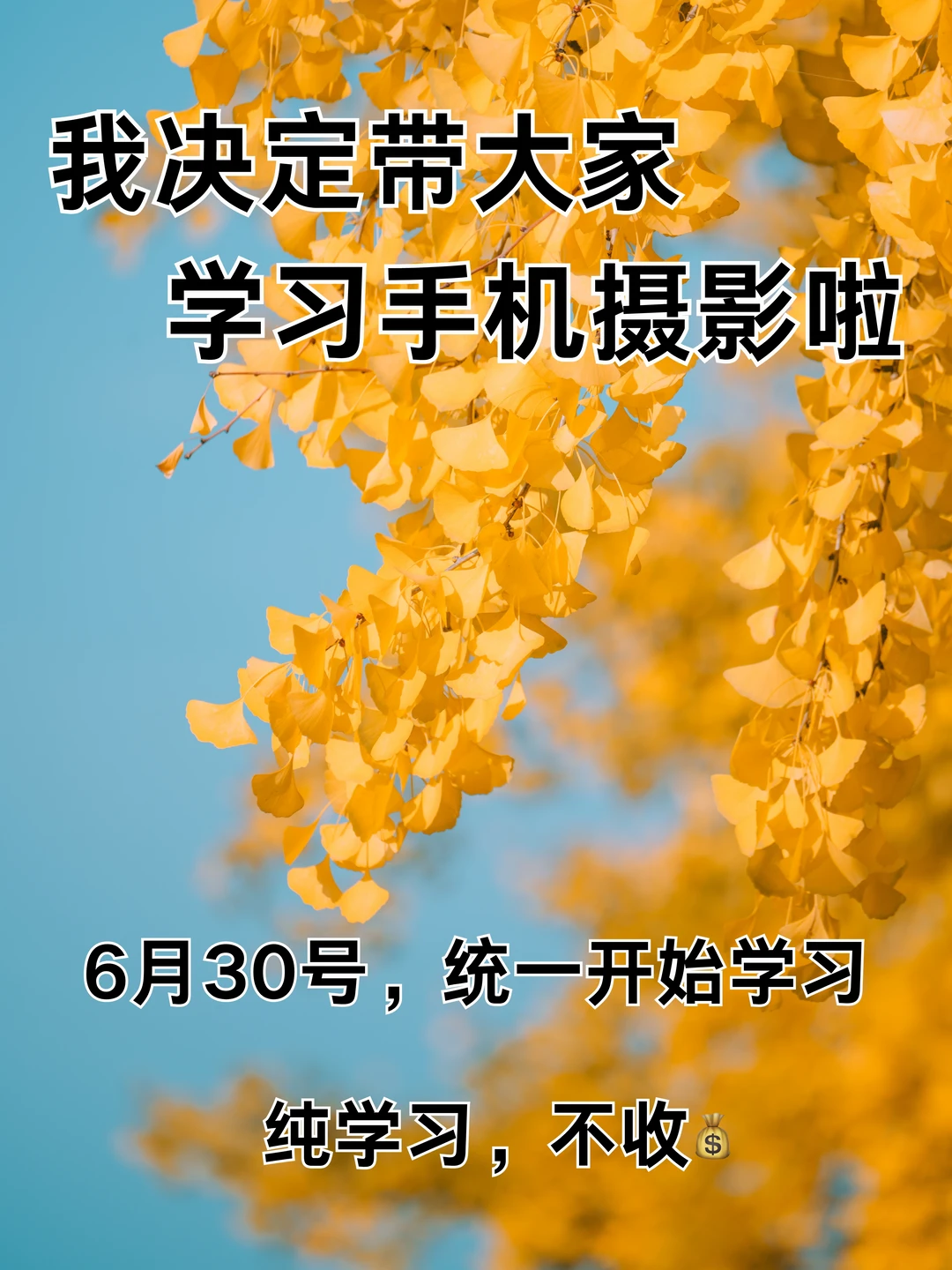 我决定带大家学习手机摄影啦！！