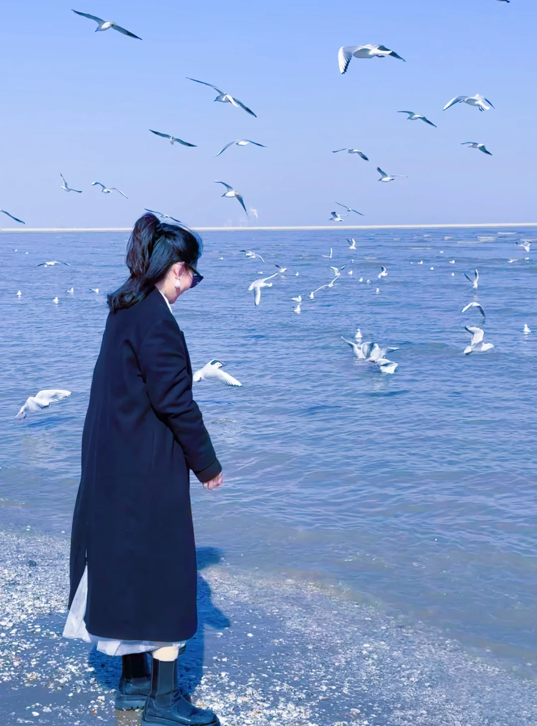 别再纠结去东疆港还是老码头了‼️看我照片