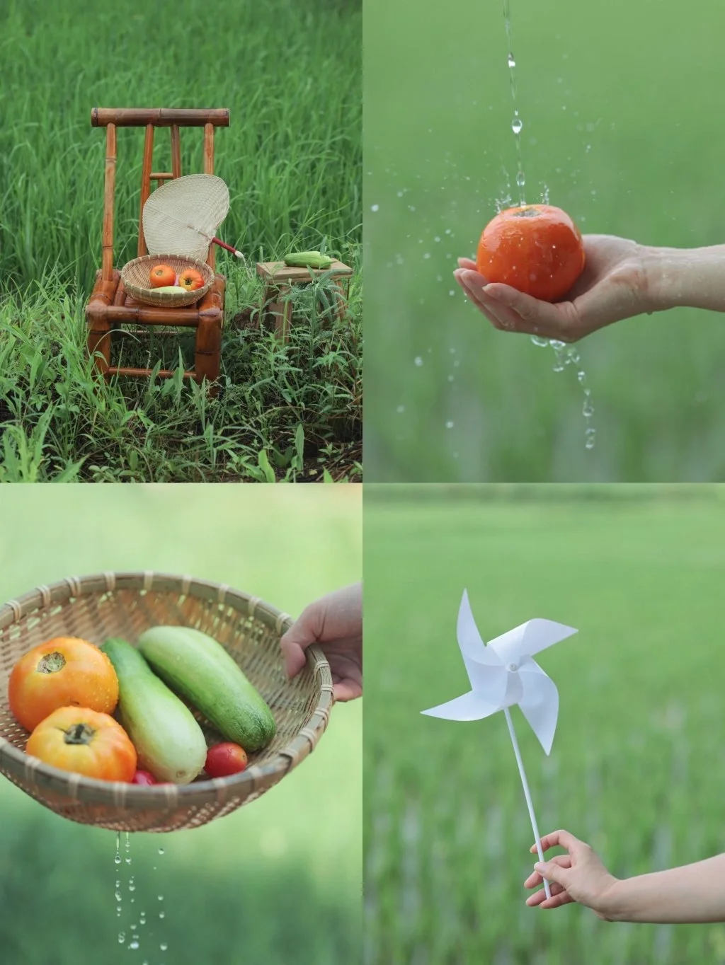 治愈小森林壁纸🌿朋友说能当锁屏看1年❗