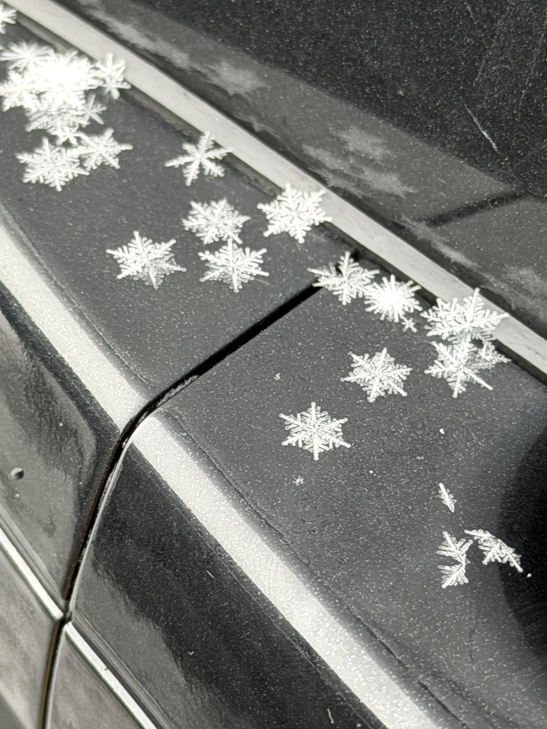 拍到了好完美的雪花꙳ ❄️⋆