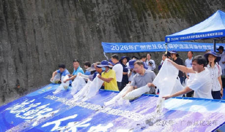 【从化举办渔业增殖放流活动，46万尾鱼苗“安家”流溪河】