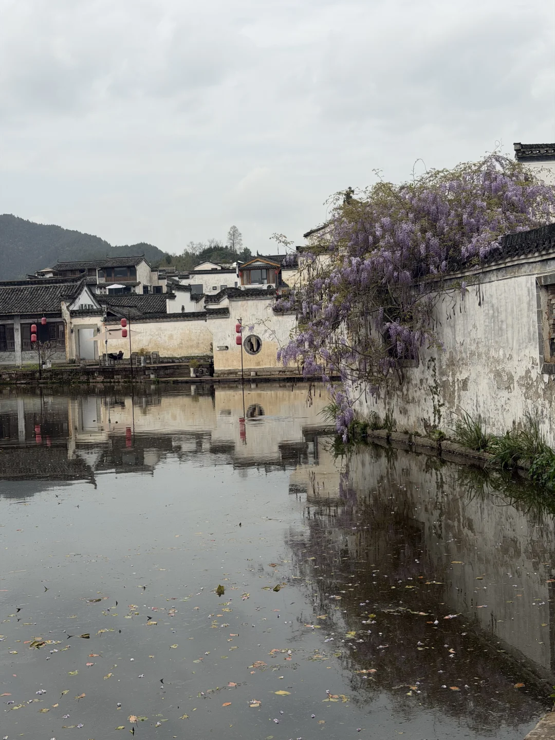 义无反顾地掉进呈坎的春天（坑）里🐟🏮