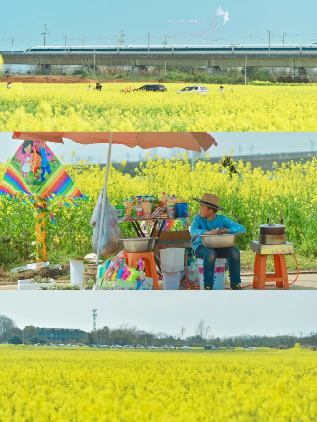 武汉小众油菜花海/穿越到宫崎骏的夏天！