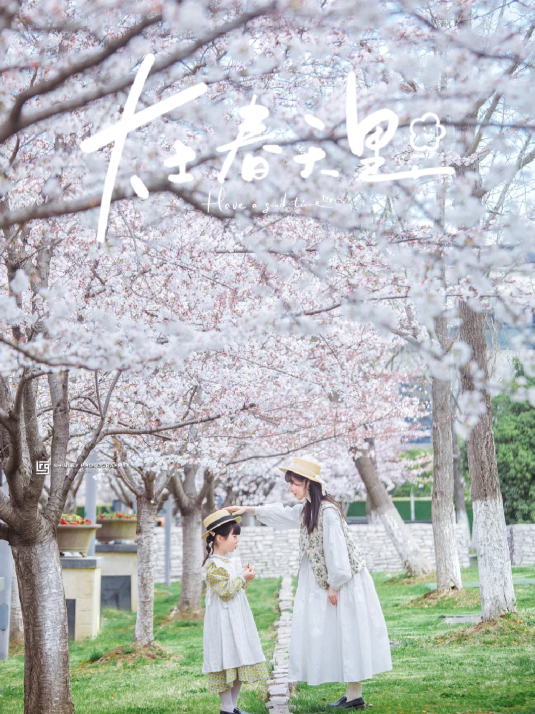 如果来无锡只去一个公园赏樱，我会选择这里