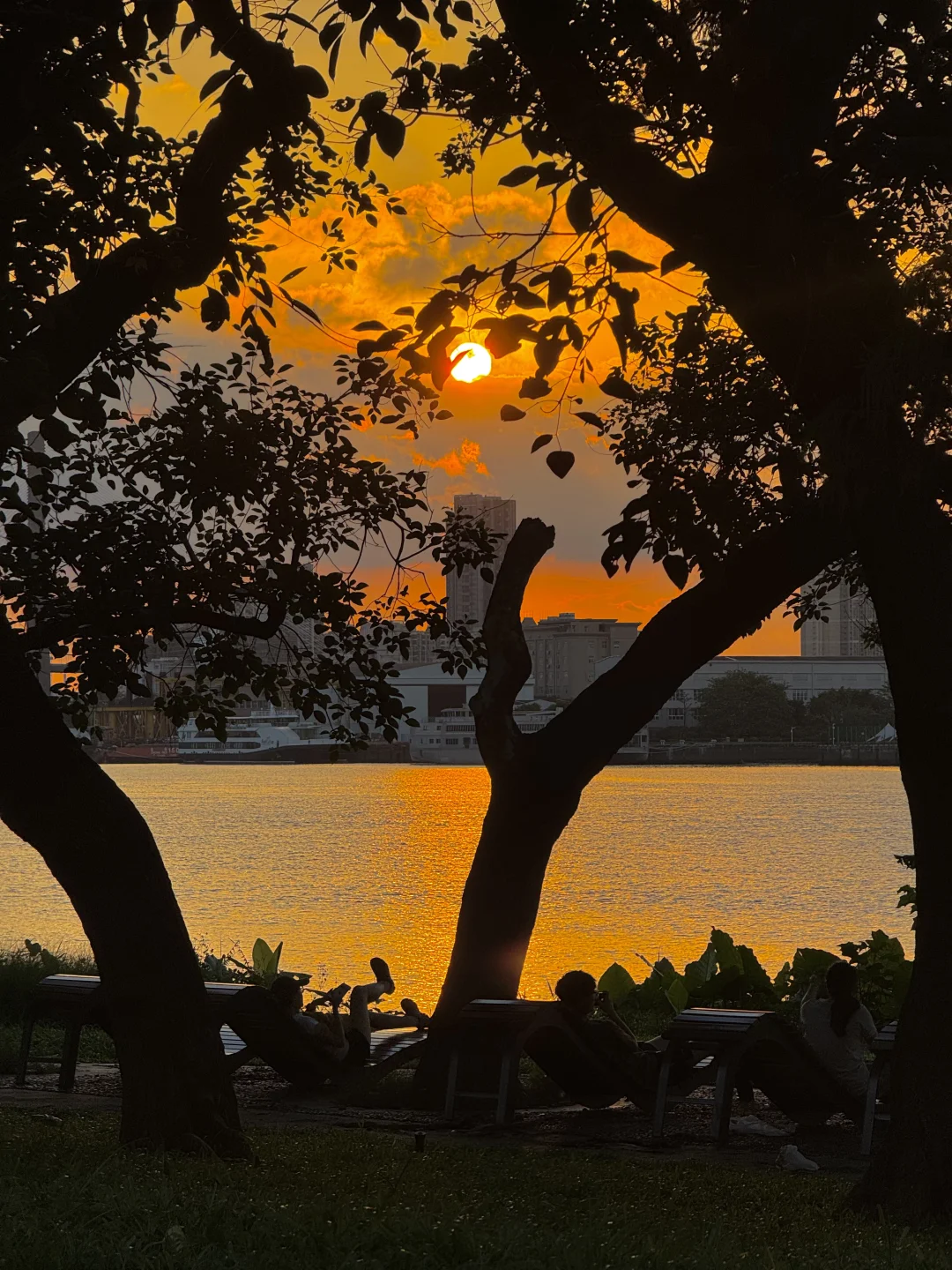 6.23实况～广州今天的落日封神了🌇简直美哭