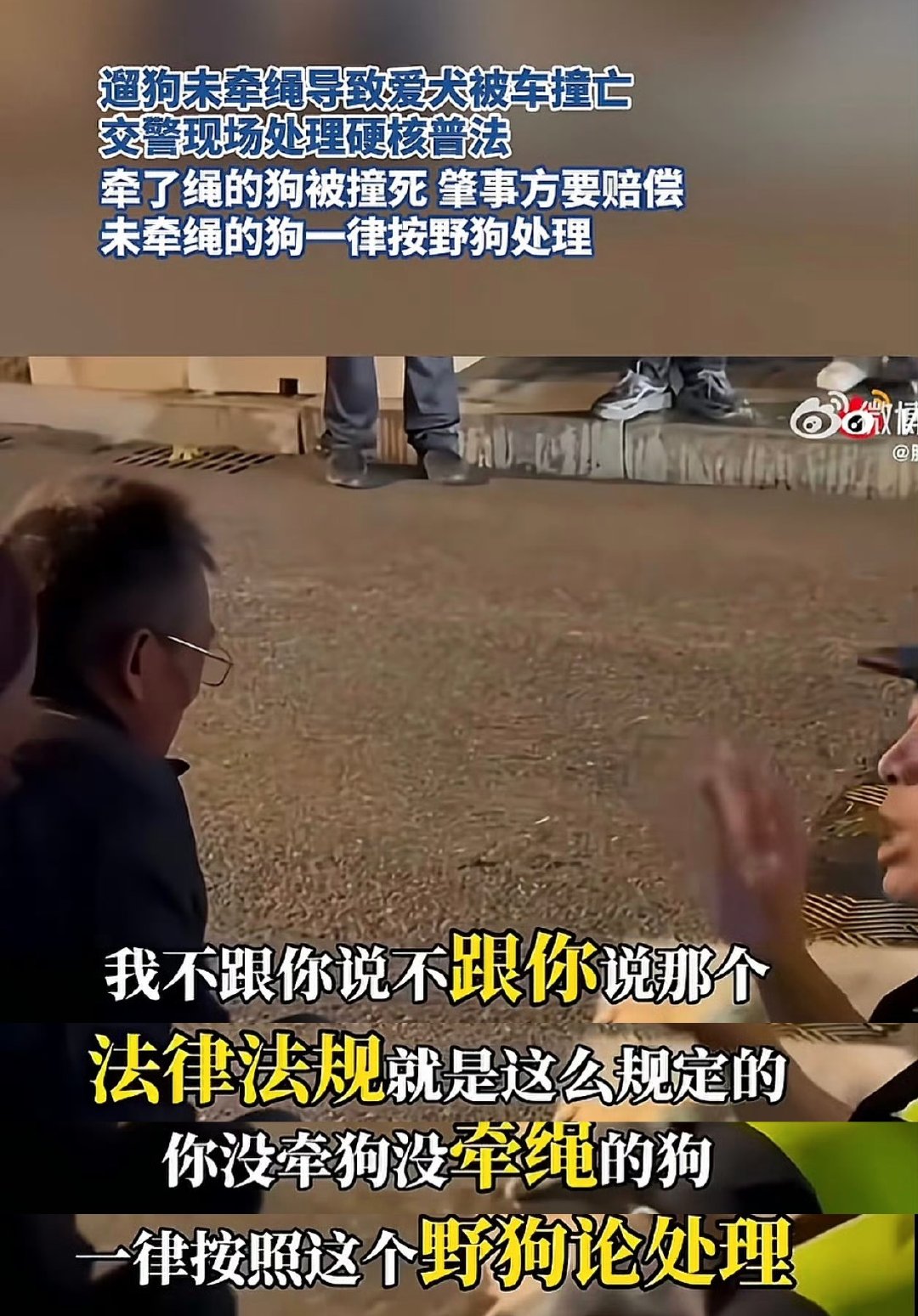 #交警称不拴绳狗被撞死按野狗处理#
是这样的。
◆如果你出门遛狗牵好绳，狗被车撞到，那是车主的责任，要赔偿狗的损失。
◆但是你不牵绳，狗跑到马路上出了事故，车主不但没责任，你还要赔偿车主的损失。 ​