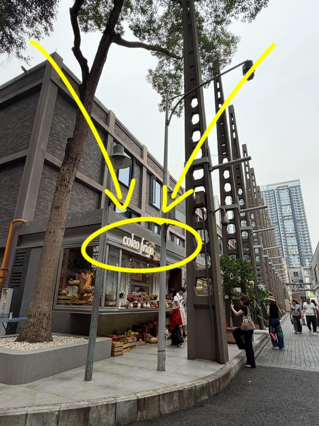 （东郊记忆）又见证新的顶流诞生了。。。。。