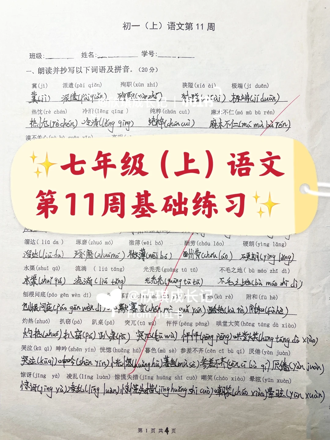 七年级（上）语文第11周基础练习