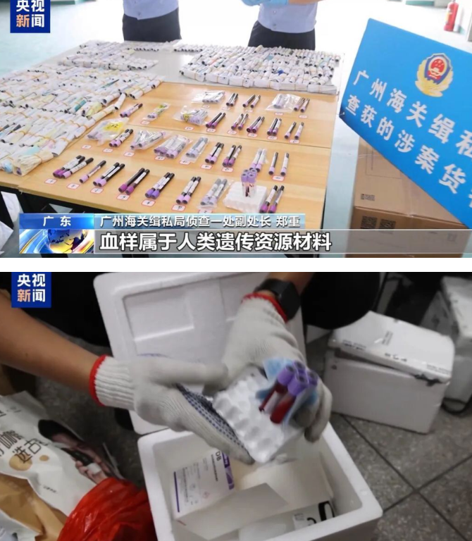 10万份孕妇血样，绑在大腿上偷运出境！你以为在查胎儿性别？背后是境外组织在采集基因资源！
 
2026年10月5日，国安部发布提醒，2025年广州海关缉私局调集265名警力，在广州、佛山、深圳三地同步收网，打掉2个专业走私孕妇血样的犯罪团伙。这不是简单的灰色医疗，而是把中国人群的基因底图一管一管往外