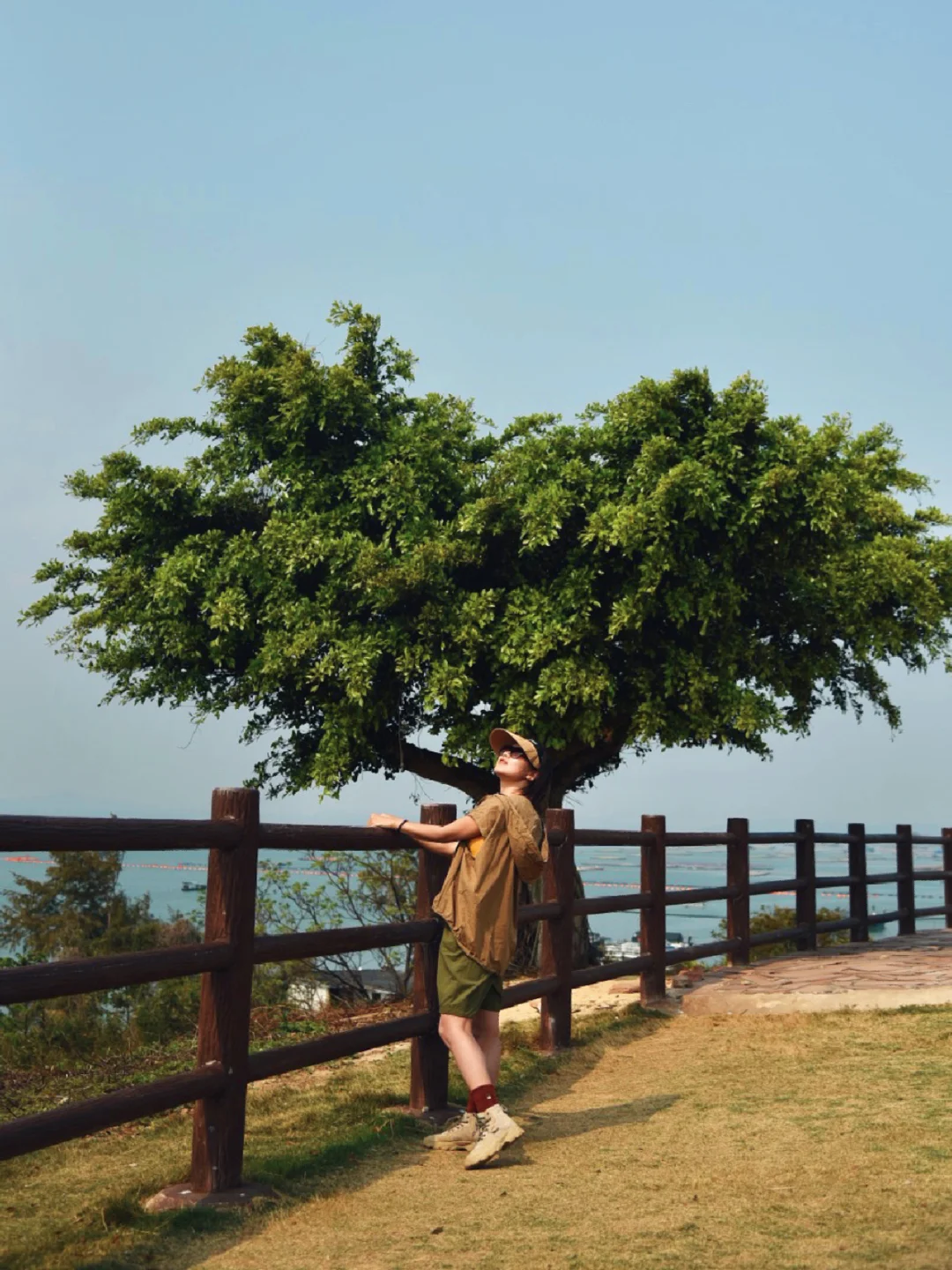 广西防城港爱心树打卡攻略❤❤❤