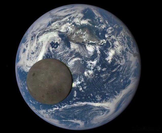 closeai一口气释出了700多项数学发现或证明。这个消息似乎因为诺贝尔奖的关系没引起什么关注。但要关注的是传言说其中菲尔兹奖及以上有10几项，似乎并不简单。而closeai路线图最终是到2027年3月达到L4级的完全自动”创新者“，这不像马圣火星计划不靠谱。 #人工智能[超话]##心理学[超话]# ​