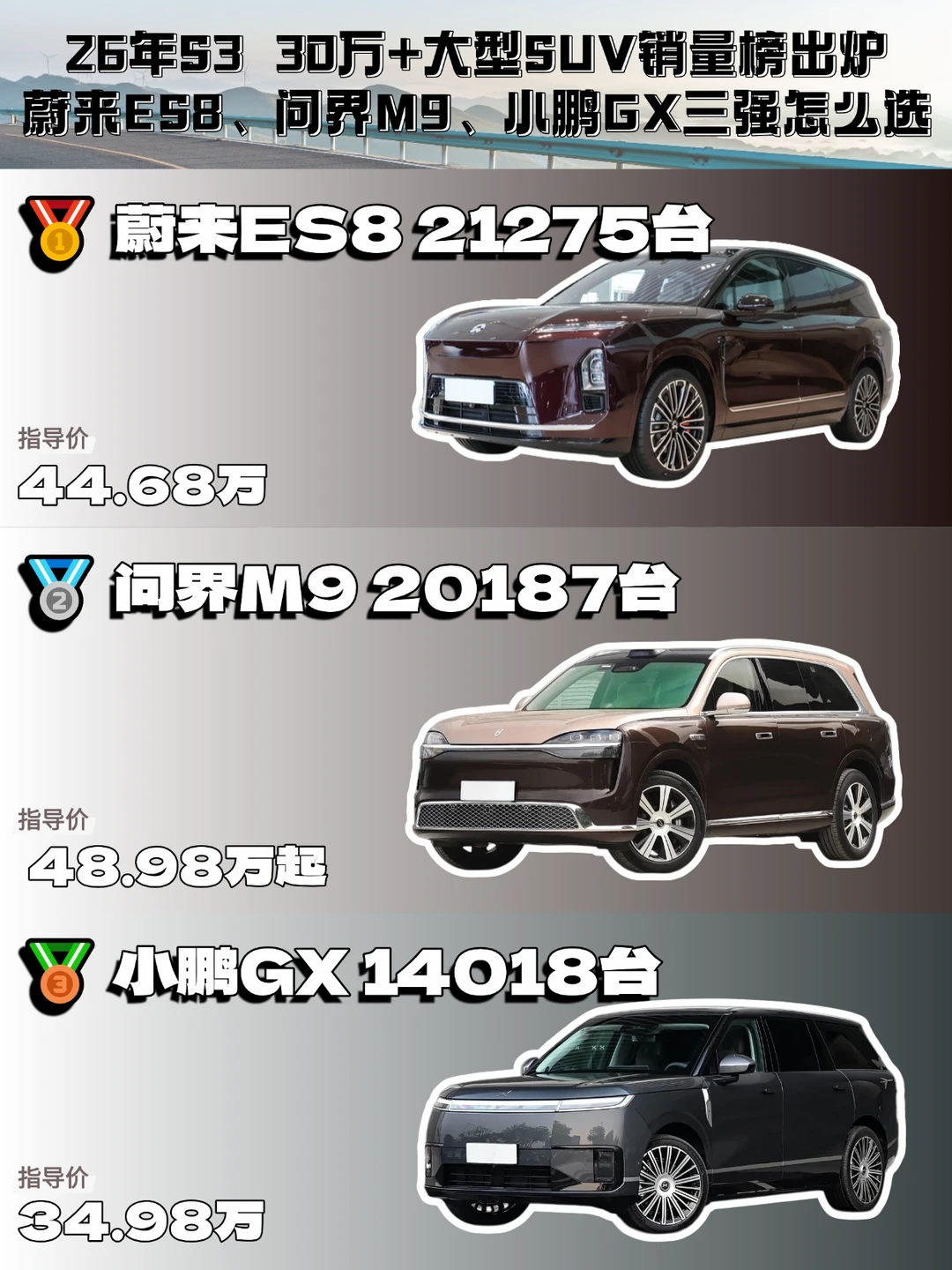 30万+大型SUV销量榜出炉小鹏GX跻身三强