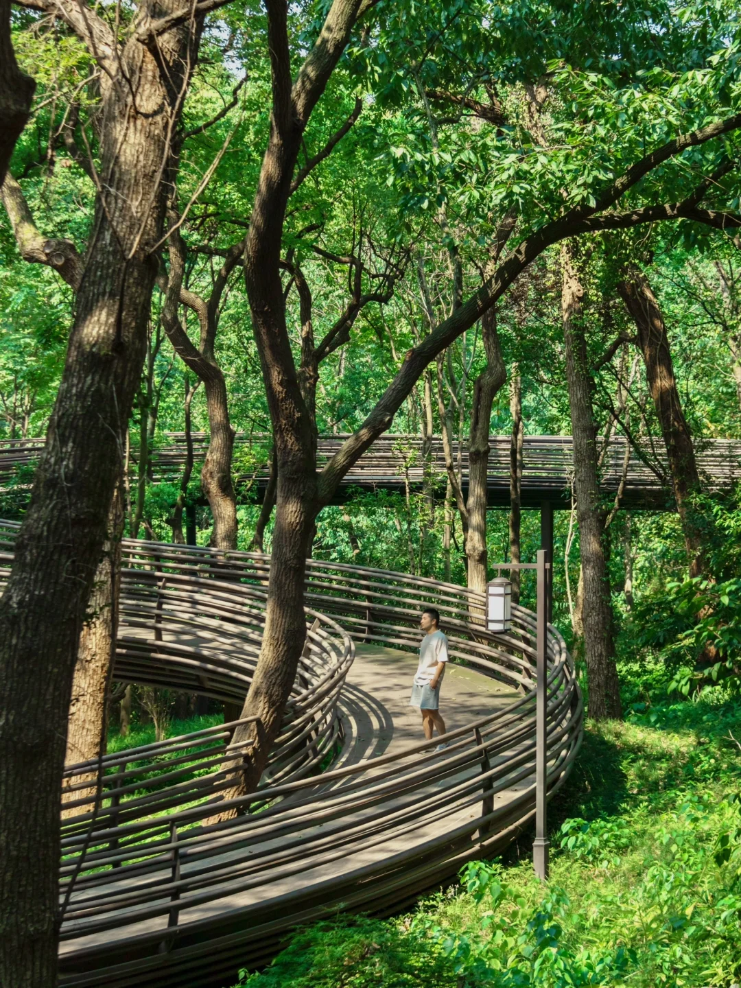 人生建议：逛完这9⃣️个绿色秘境再离开杭州❗️