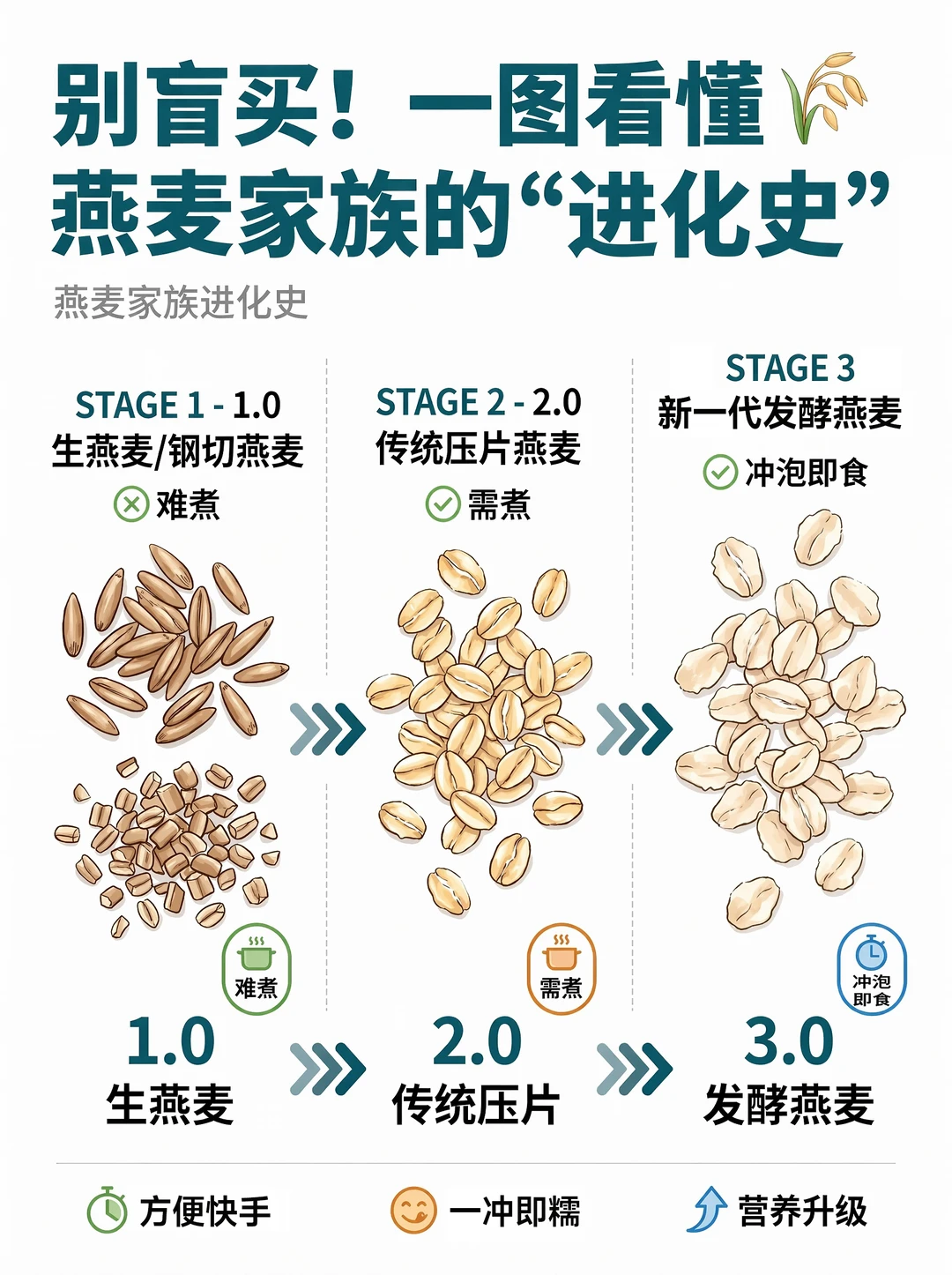别盲买！一图看懂燕麦家族的“进化史”🌾