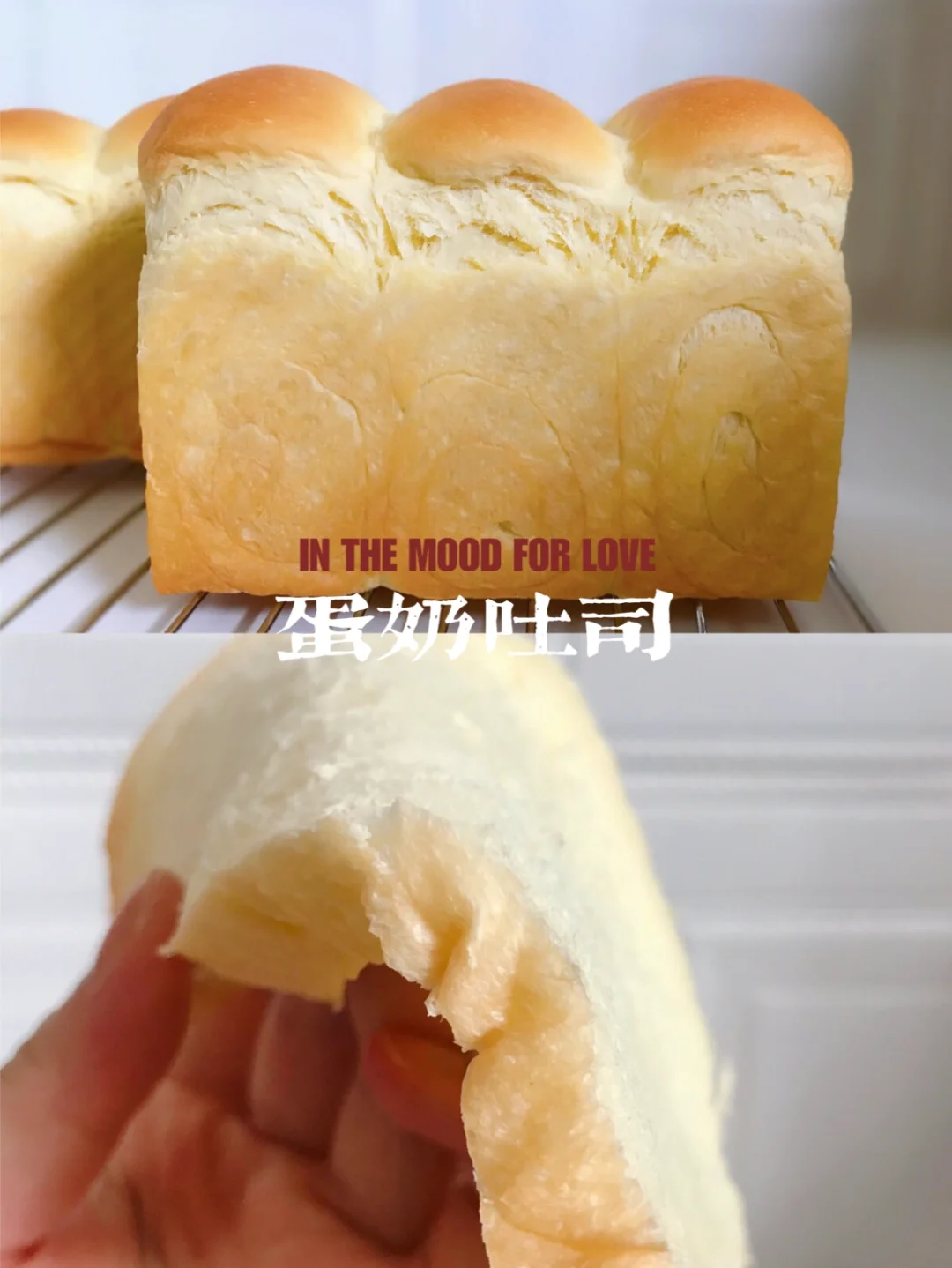 超拉丝！大爆头！软到下腰的蛋奶吐司🍞