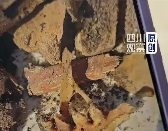 买了二手房住进去多年，抬头才发现，客厅正上方是一座坟。
这件事最扎心的地方不是那座坟，是所有人都知道，却谁都没提。同一栋楼的邻居住了这么多年，一个都没说过；卖房的人办完手续，人去楼空。
按常理，逝者要火化、要证件，得有死亡证明才不去火化——这一层没人解释。新住户在楼下过了多年正常日子，头顶就是一段没
