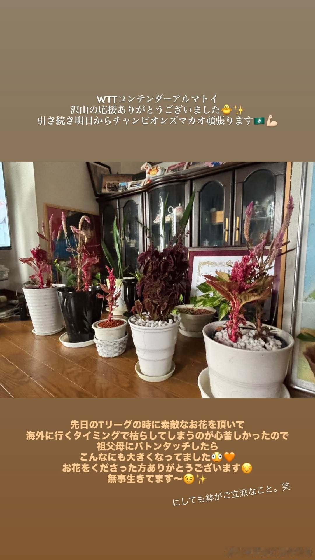 早田希娜ig story晒花花🌸
#早田希娜#  ：WTT 常规挑战赛阿拉木图站
非常感谢大家给予我的满满支持🐣✨
紧接着从明天开始的 WTT 澳门冠军赛，我也要继续加油啦🇲🇴💪🏼
前段时间参加 T 联赛时收到了非常漂亮的花，
因为马上要出国参赛，一想到可能会把花养枯就很心疼，
于是就把照顾花的重 ​