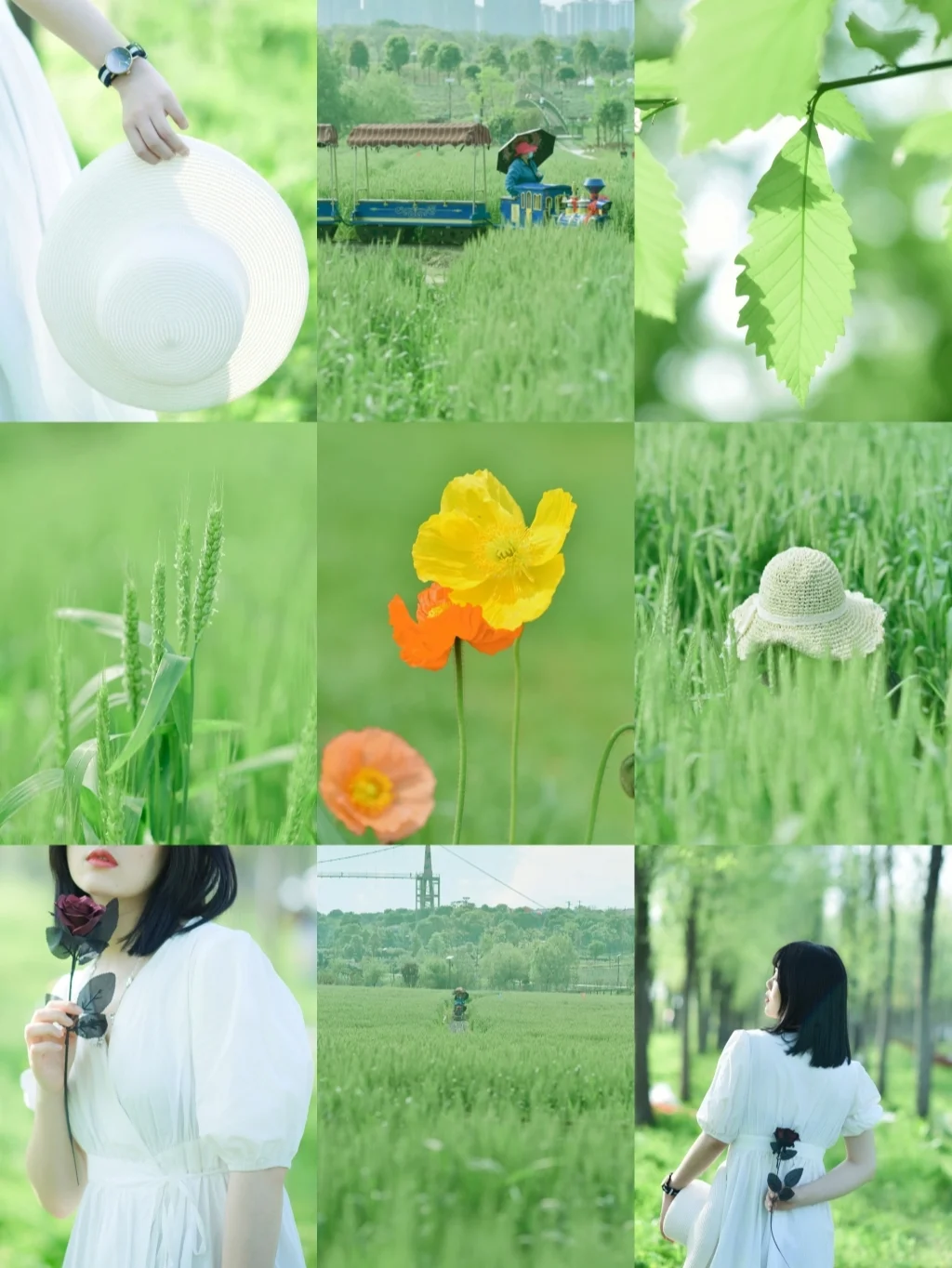 一键get宫崎骏治愈绿，附调色教程！