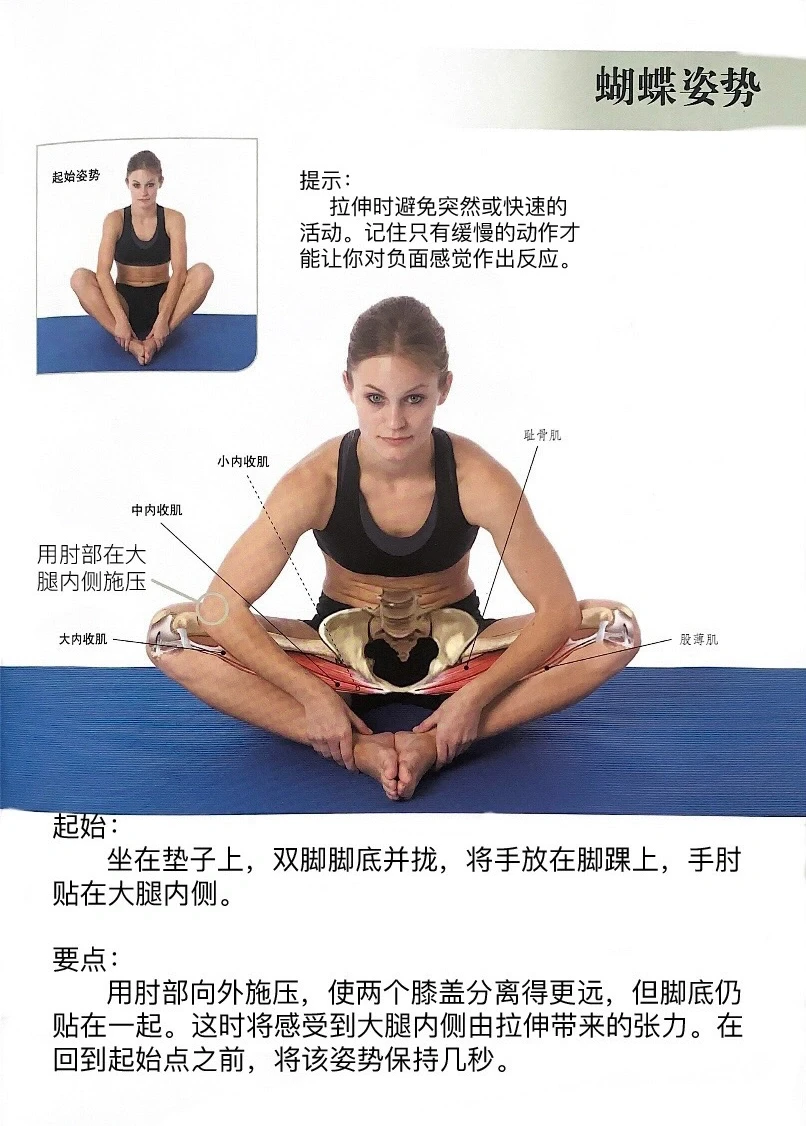 2个动作拉伸大腿内侧肌肉
