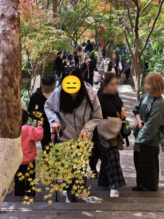 😡南京栖霞山请手下留枫！不会心疼吗～