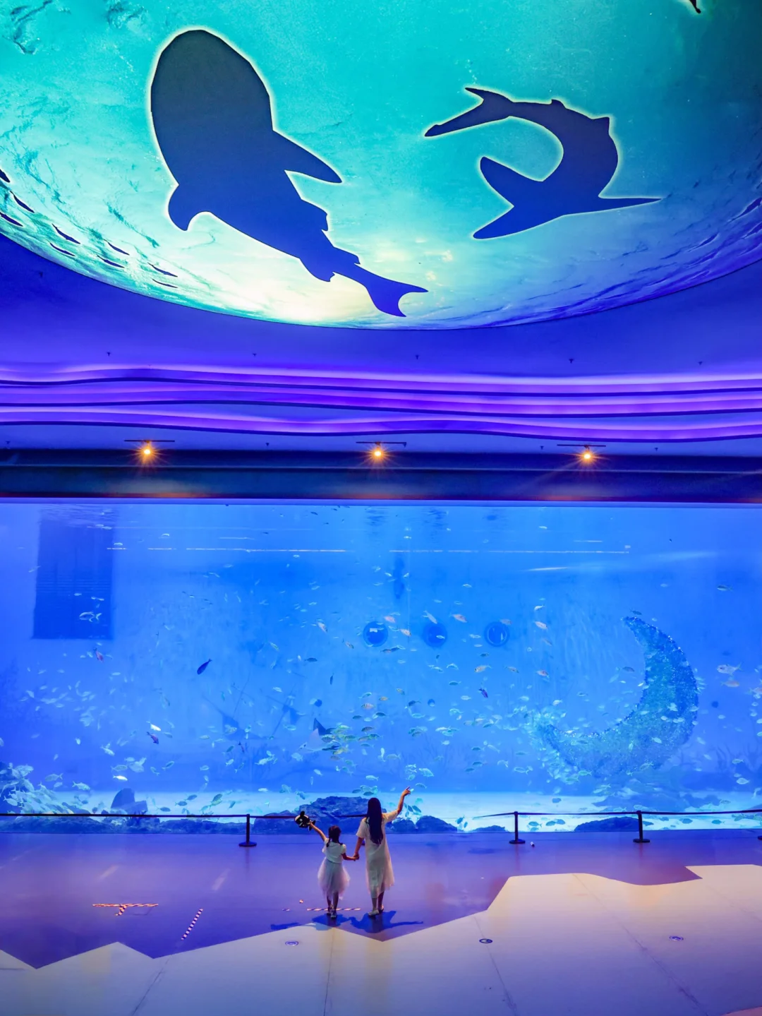 迄今为止，我娃最喜欢的虎鲸生日会出现了！！！