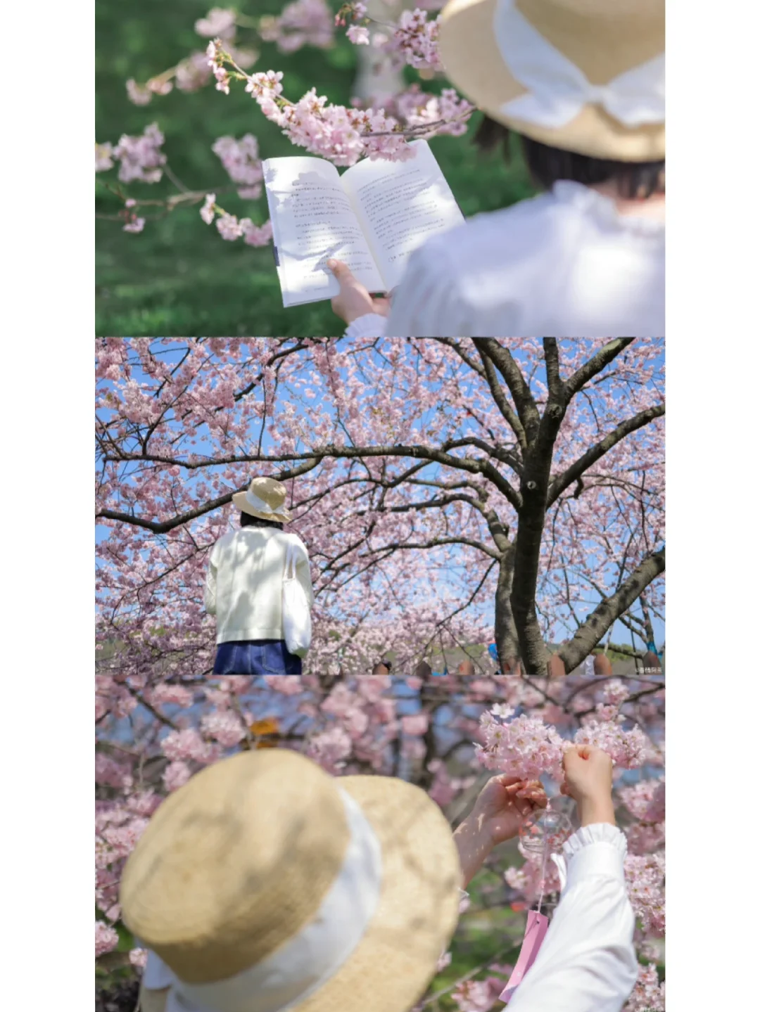 玩的第4年，一边崩溃一边自愈