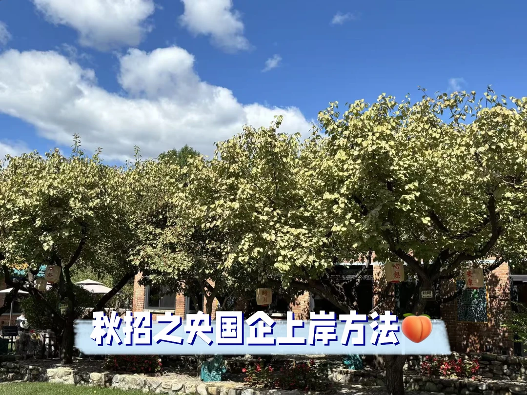 人大秋招回忆｜央国企上岸方法（问答版）